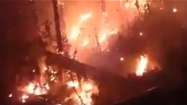 عاجل | حريق ضخم يلتهم الاشجار بجوار فندق شيراتون القاهرة