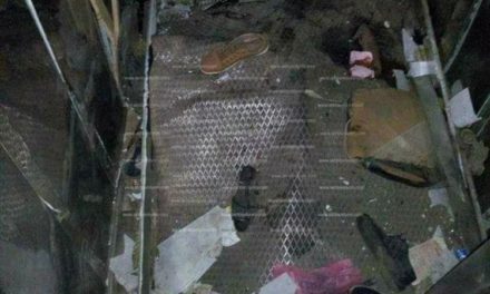 سقوط أسانسير جامعة بنها للمرة الثانية ووفاة 6 أشخاص